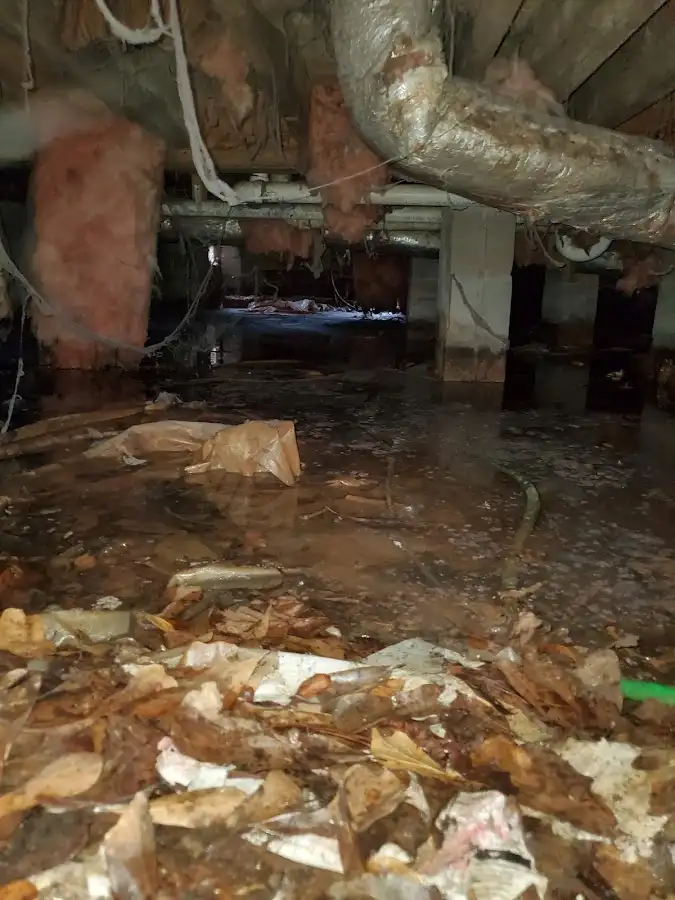 Crawl space flood assessment for Leak Detection & Repair in Navasota